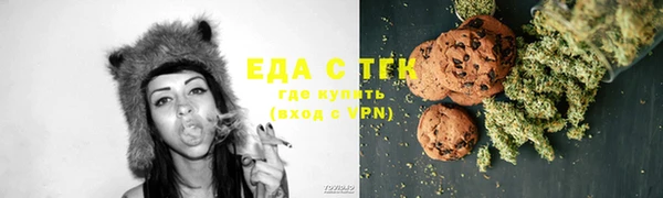дмт Богданович