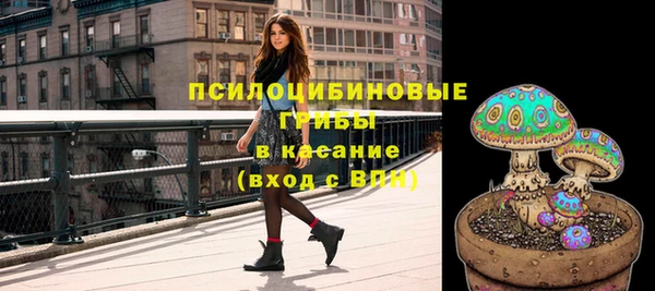 дмт Бронницы