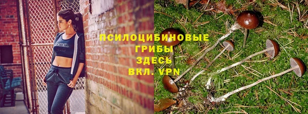 дмт Бронницы